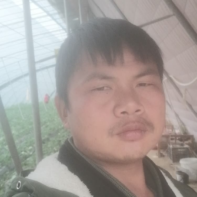 孤狼‘的第一张照片--平潭交友网