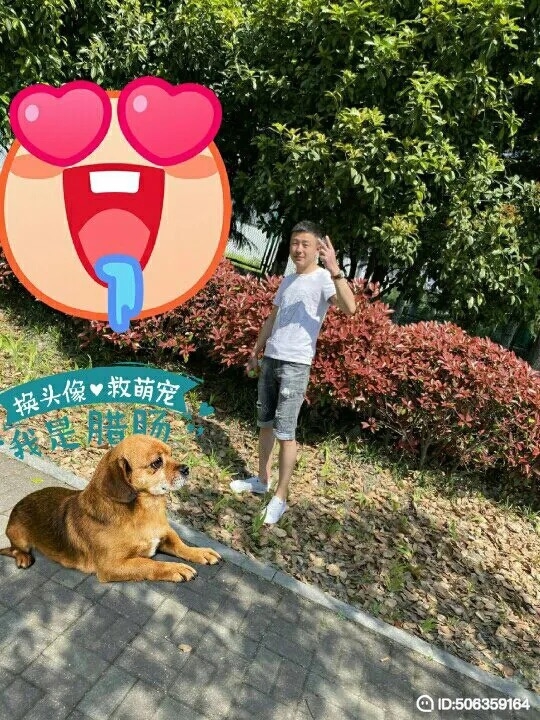 我若不坚强谁替我勇敢的第一张照片--平潭交友网
